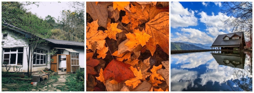 Homestay pdf picture